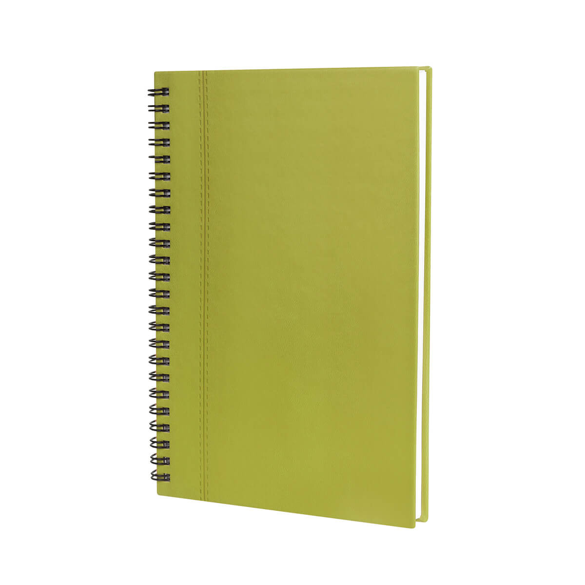 Libreta Ejecutiva Verde Alesa